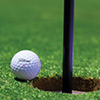 Site logo